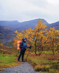 Fototapeta premium A woman with a backpack in the autumn season walks along a path in the mountains on a rainy day.