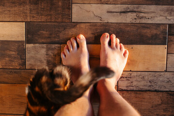 A cat with cute eyes is asking for food on the kitchen floor. The cat looks up. A tricolor cat is...