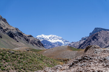 Fototapeta na wymiar Andes Mendozinos