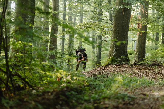 photographer researcher photographs mushrooms in the forest. - Powered by Adobe