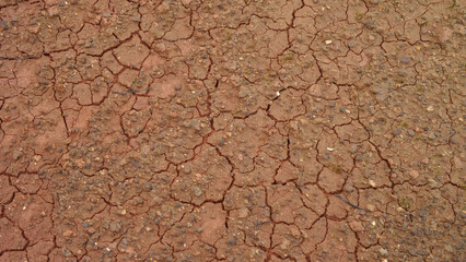 soil with dry cracks