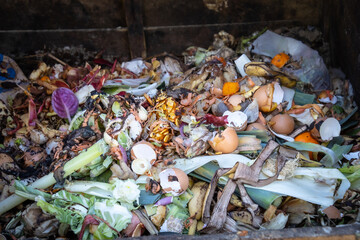 close-up of a compost bin filled with vegetable waste