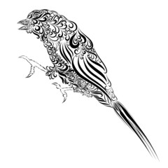 fabulous creative bright motley fantasy bird of paradise with graceful and elegant curly plumage ornament decorative vintage black color pattern