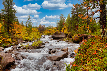 River in the Khibiny mountains in autumn. Autumn landscape