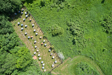 Aerial view of a small mobile apiary located on the edge of the forest. The territory of the apiary...