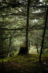 Aulon, Hautes-Pyrénées, France, octobre 2019