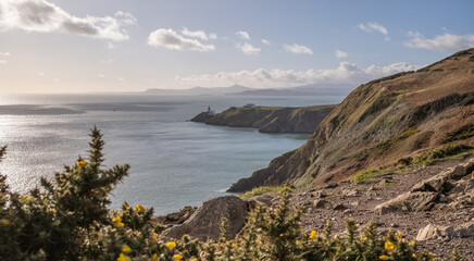 Fototapeta premium Howth cliff path