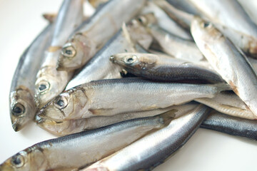 Freshly caught Baltic herring on the background of a white plate