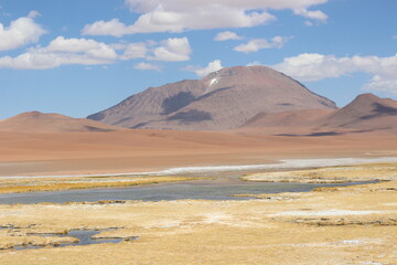 Deserto do Atacama paisagens texturas cores flamingos