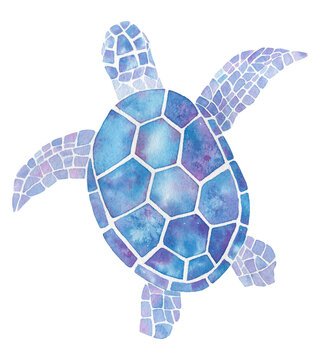 Illustration sea turtle painted with watercolors.The image of sea creatures swimming underwater world. Amphibian reptiles painted with brushes and isolated on a white background.