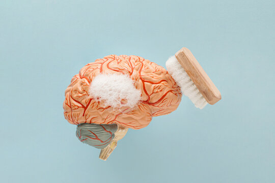 Minimal abstract scene with soapy human brain model and scrubbing brush on isolated pastel blue background. Mental health, brain fog or health care treatment. Cleansing or brainwashing concept.