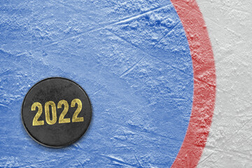 Part of the goalkeeper area and hockey puck