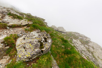 foggy weather in high mountains. scenery with rocks among the grass on a slopes of fagaras ridge in romania. summer nature adventures