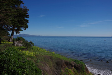 Looking south from the bluffs with wildflowers and trees over the pacific ocean bay of Santa Barbara on a pleasant sunny winter day