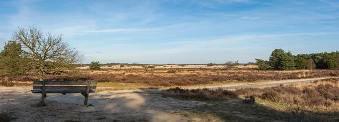 Fototapeten Panorama of Dutch Nationaal Park Loonse en Drunense Duinen, view of sand dunes and heather fields © Milos