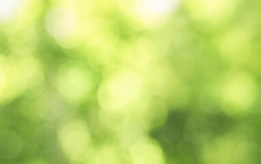 Obraz premium abstract defocus nature background with defocus lights