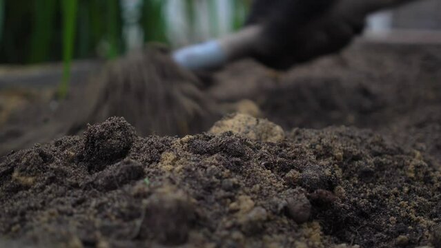 Close-up of humus mixed with sand in one's own garden. Soil preparation for planting. Growing vegetables. Environmentally friendly products