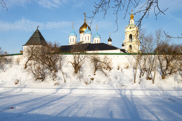 The domes of the Novospassky monastery against the a blooming spiraea. New monastery of the...