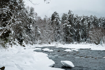 A beautiful landscape with a mountain river, snow and forest in Arkhyz, on a cloudy winter day. Caucasus Mountains,  Russia