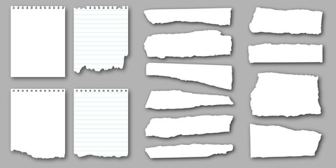 Set of notebook torn pages and pieces of ripped sheets of paper for notes. Vector illustration