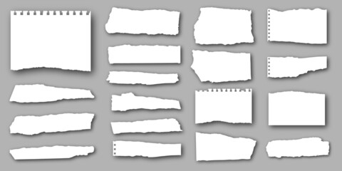 Realistic Torn Sheets of Paper. Ripped Notebook Pages with Shadow. Vector Illustration.