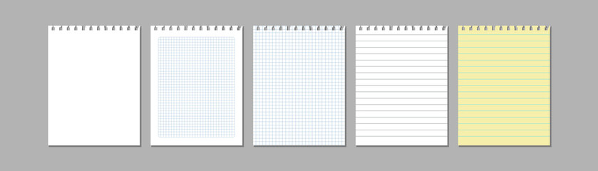 Torn sheets of paper from exercise book. Squared and lined blank pages. Realistic vector Illustration. - 487428917