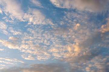 many wind-scattered cirrus clouds beautifully illuminated by the setting sun