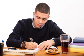 men working in the computer at home