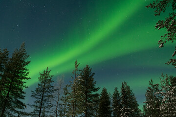 Fototapeta na wymiar Green Northern Lights