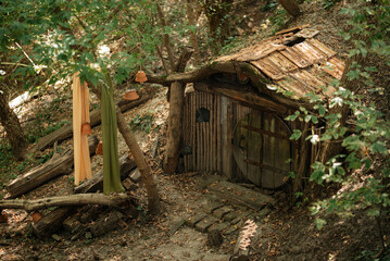 green summer garden with plants