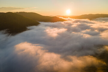 Aerial view of amazing scenery with foggy dark mountain forest pine trees at autumn sunrise. Beautiful wild woodland with shining rays of light at dawn