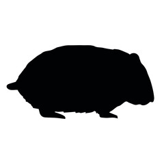 Vector hand drawn doodle sketch hamster silhouette isolated on white background