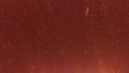 Snowlakes falls at night. Illuminated by red lantern beam. - Powered by Adobe