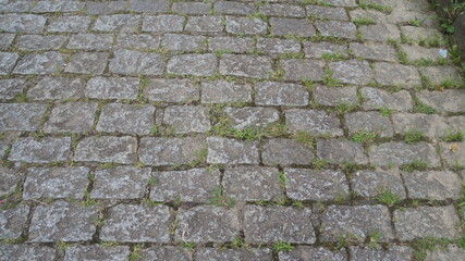 Cobblestone city street