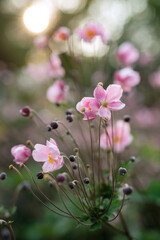 elegant wedding decorations made of natural flowers