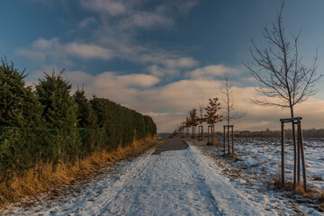 Path near Javorice hill in winter forest