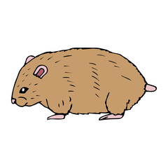 Vector hand drawn doodle sketch colored hamster isolated on white background