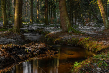 Creeks near Javorice hill in winter snowy forest