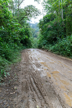 Rain wet muddy road in the rainforest of Costa Rica