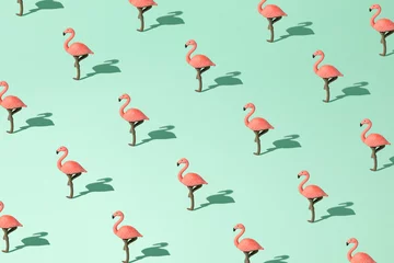 Papier Peint photo Flamingo Creative summer pattern made with pink flamingo bird on pastel green mint background. Minimal holiday and fun concept.
