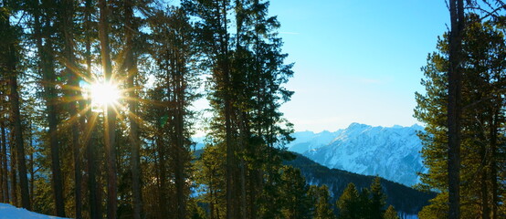 sunbeams breaking through trees