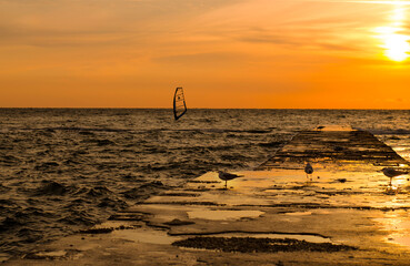 Silhouettes of windsurfers in the sea at the sunrise. People are doing sports at the dawn. Orange colours of the sunrise makes the sae look majestic.