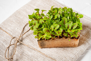 organic microgreens in the box