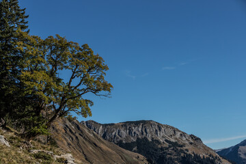 Herbsttag bei Hinterstein
