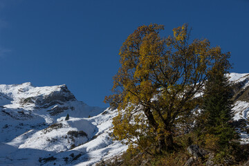 Herbstlich