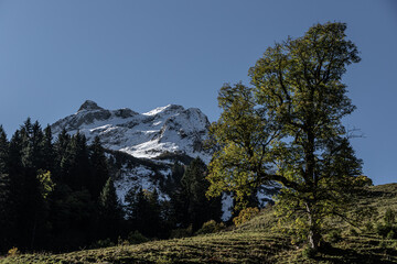 Sp&auml;therbst in den Allg&auml;uer Alpen