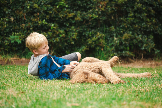 Cute blonde pre-teen boy lying on grass with happy groodle dog