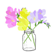 Bouquet of freesia in glass stock vector illustration for web, for print