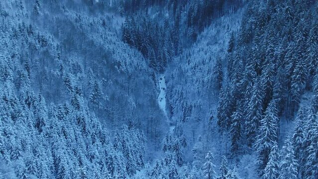 Mountain Lake "Synevir" Carpathian mountains. Aerial. Ukraine. Winter. Snow