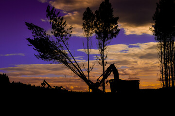 Naklejka premium Logging Timber Harvesting 